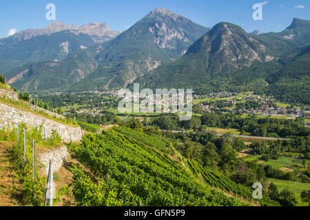 Vue depuis le vignoble bio et biodynamique des Granges, près de nus & Fenis, surplombant Fenis, région de la vallée d'Aoste, en Italie. Banque D'Images