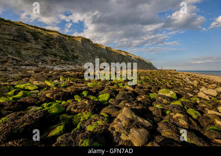 Folkestone à la côte en direction de Douvres. Kent, Angleterre Banque D'Images