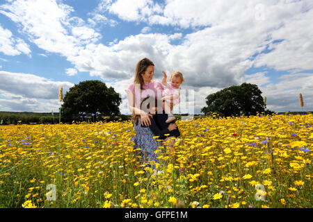 Une jeune mère et ses filles profitant du beau temps cet été, à l'English Centre de lavande, Alton, Hampshire, Royaume-Uni. Banque D'Images