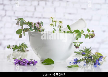 Des herbes fraîches dans le mortier sur fond blanc Banque D'Images