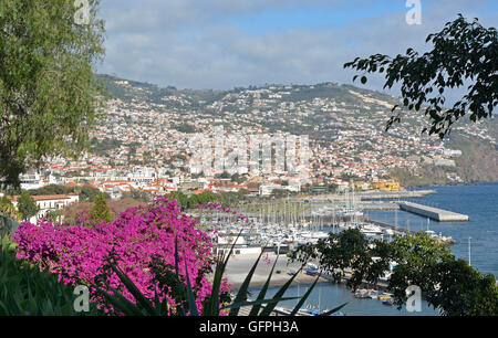 Vue sur mer, marina et le port de Saint Catherine's Park. Funchal, Madeira, Portugal Banque D'Images