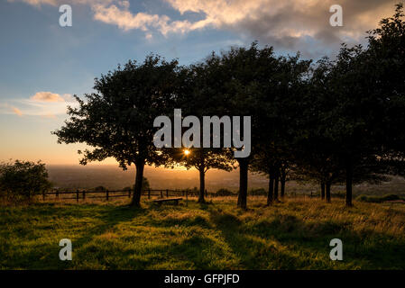 Banc sous les arbres au pays bas Werneth Park, Hyde, Greater Manchester au coucher du soleil. Banque D'Images