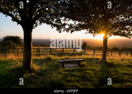 Banc sous les arbres au pays bas Werneth Park, Hyde, Greater Manchester au coucher du soleil. Banque D'Images