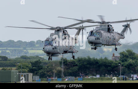 Merlin Mk2 hélicoptères à la RNAS Culdrose événement aperçu de la Journée de l'air 2016 Banque D'Images