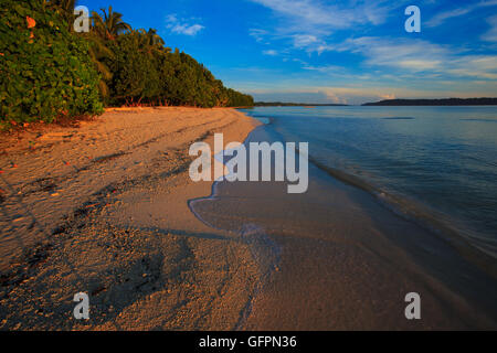 Plage à Havelock Island Banque D'Images