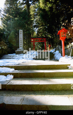 Hakone Shrine sur un matin d'hiver, Hakone, Japon Banque D'Images