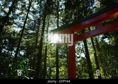 Hakone Shrine sur un matin d'hiver, Hakone, Japon Banque D'Images