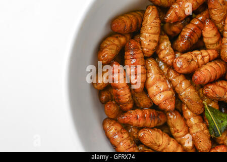 Les insectes frits dans tasse on white Banque D'Images