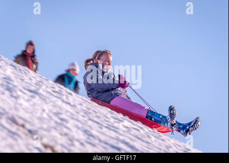 Les enfants de la luge à Brighton Stanmer Park après une chute de neige de Noël. Banque D'Images