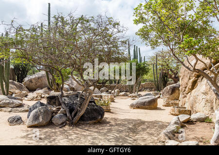 Rochers, arbres et Divi Divi Aruba en Cactus Garden Banque D'Images
