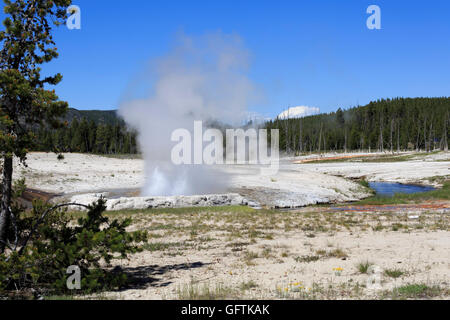 Cliff Geyser, bassin de sable noir, Parc National de Yellowstone Banque D'Images