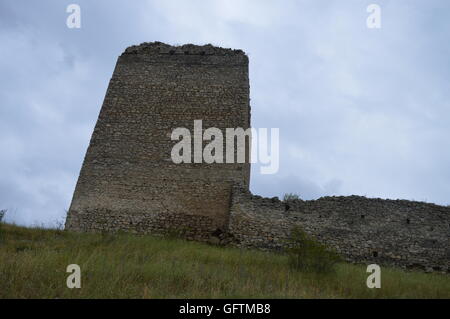 La tour de la Citadelle Coltesti Banque D'Images