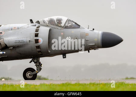 Royal Navy Sea Harrier Jump Jet RNAS Culdrose ont pris part à la Journée de l'événement/aperçu en 2016 (masse Taxy Afficher uniquement) Banque D'Images