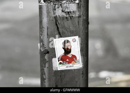 Joe Ledley. Autocollant Panini Euro 2016. Banque D'Images