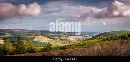 Montagnes de Slieve Bloom Fr Offaly. L'Irlande Banque D'Images