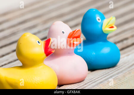 3 canards dans une rangée Banque D'Images