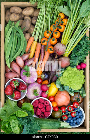 Plateau en bois de récolter les fruits et légumes Banque D'Images