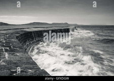 La Cobb à Lyme Regis. La Cobb une vieille jetée en pierre formant un vaste port et cru jusqu'à présent de l'époque de Edward JE Banque D'Images