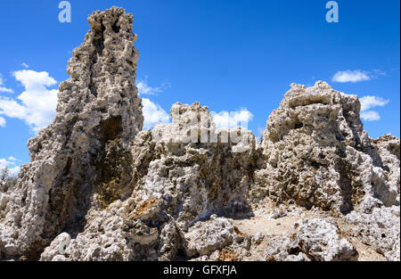 Lac Mono Banque D'Images