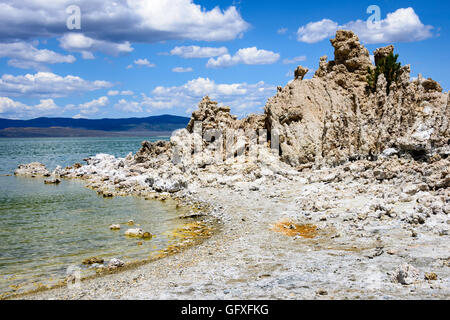 Lac Mono Banque D'Images