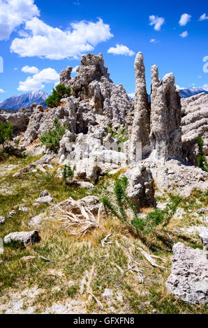 Lac Mono Banque D'Images