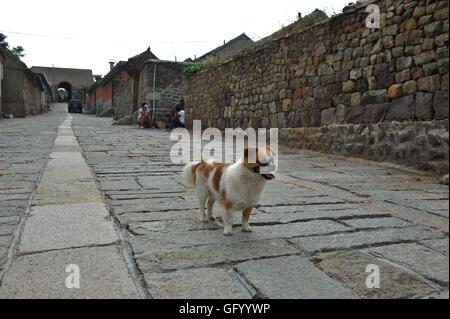 Qingdao, Qingdao, Chine. 31 juillet, 2016. Qingdao, Chine - 31 juillet 2016 : (usage éditorial uniquement. Chine OUT) Xiongyasuo à Chengyang Qingdao Shandong Fengcheng est construit en 1388 dans la Dynastie Ming pour lutter contre les pirates japonais, un grand mur et un ancien village sur la mer, fait de pierres. Les villageois sont les héritiers des soldats. © SIPA Asie/ZUMA/Alamy Fil Live News Banque D'Images