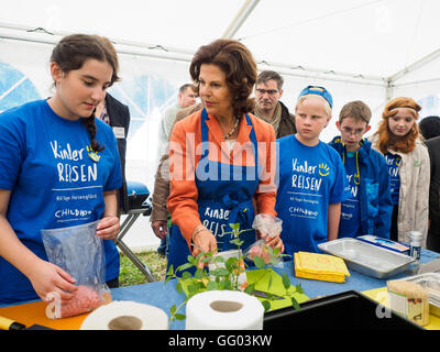 Heroldsbach, Allemagne. 2 Août, 2016. La Reine Silvia de Suède prépare la nourriture avec des enfants de la colonie de vacances à l'aventure dans le parc Erlebnispark Thurn, Heroldsbach Allemagne, 2 août 2016. La Reine Silvia de Suède a visité le camp de vacances pour enfants de la télévision allemande à la loterie Schloss Thurn adventure park. PHOTO : NICOLAS ARMER/DPA/Alamy Live News Banque D'Images