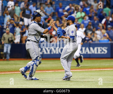 Saint Petersburg, Florida, USA. 1er août 2016. Vous VRAGOVIC | fois.Kansas City Royals catcher Salvador Perez (13) high fives Kansas Ville Royal relief pitcher Kelvin Herrera (40) après le match entre les Reds et les Rays de Tampa Bay au Tropicana Field à Saint-Pétersbourg, en Floride, le lundi, Août 1, 2016. Royals de Kansas City a battu les Rays de Tampa Bay 3-0. © Vous Vragovic/Tampa Bay Times/ZUMA/Alamy Fil Live News Banque D'Images