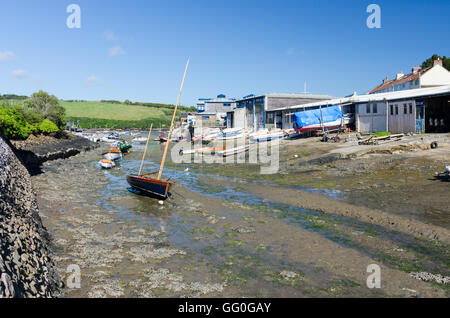 Bateaux sur la vase à marée basse dans Shadycombe Creek à Salcombe, Devon Banque D'Images