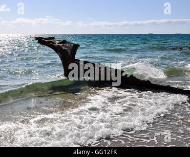 Vieille épave rouillé partiellement submergée à CY O'Connor Beach et l'océan Indien en Amérique du seascape Coogee, l'ouest de l'Australie. Banque D'Images