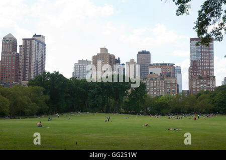 Se détendre sur l'herbe de moutons pré dans Central Park. Banque D'Images