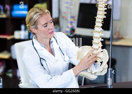 Physiothérapeute à la colonne vertébrale au model Banque D'Images