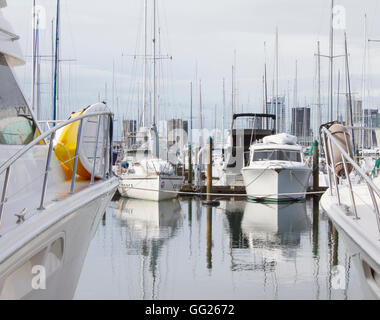 Yachts amarrés au port de plaisance Westhaven à Auckland avec la ville en arrière-plan Banque D'Images