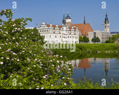 Johannbau, Église de ville et Hôtel de Ville Tour, Dessau, Allemagne Banque D'Images