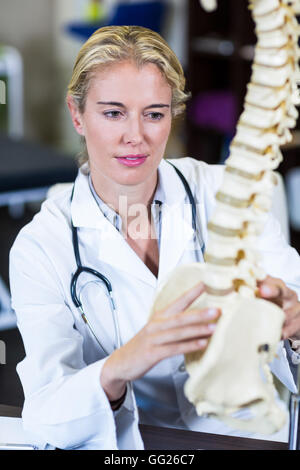 Physiothérapeute à la colonne vertébrale au model Banque D'Images