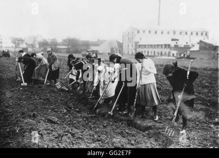 Les femmes travaillant dans les champs pendant la première guerre mondiale 1917 France, la Première Guerre mondiale Banque D'Images