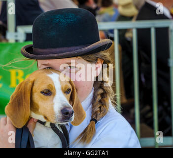 Le Festival de Peterborough - chasse avec Beagle chenil maid Banque D'Images