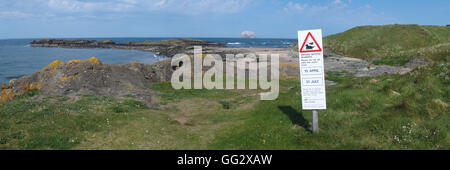 Panneau d'avertissement, les oiseaux qui nichent au sol, North Berwick et Bass Rock Banque D'Images