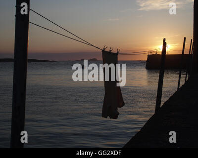 Lave-Hanging on line, Coucher de soleil, West Bay, North Berwick Banque D'Images