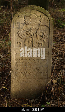 5512---Suceava, Roumanie. Décoré de l'ancien cimetière de tombstone, 18 et 19 C. datant Banque D'Images