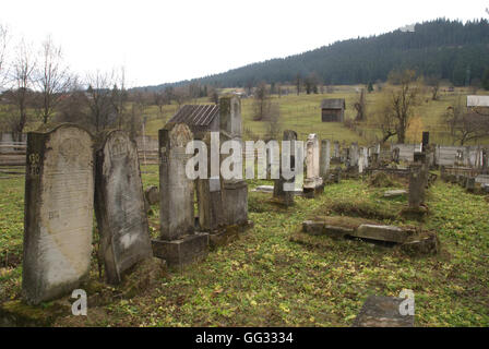 5518. Ancien cimetière juif en Compolung Moldavese, Roumanie Banque D'Images