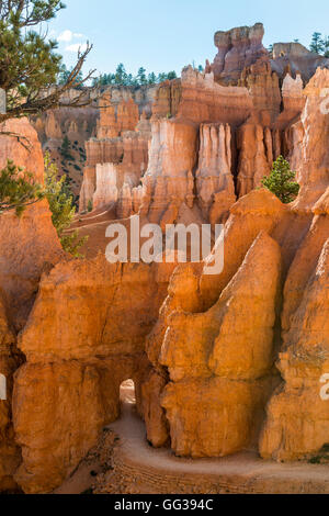 Cheminées, Bryce Canyon National Park, Utah, USA Banque D'Images