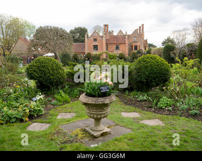 Chenies Manor House au début du printemps. Une tulipe de l'urne et le pavage en premier plan avec vue sur le jardin en contrebas à travers les buissons. Banque D'Images