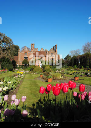 Portrait de Chenies Manoir et jardin en contrebas au temps des tulipes avec ciel bleu et lumineux des tulipes roses encadrant le point de vue. Banque D'Images