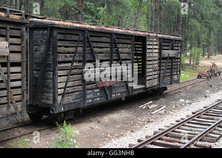 Vieux wagons garés sur terrain arboré d'évitement. Banque D'Images