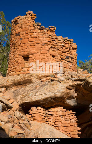 Painted Hand Pueblo ruins, Canyons of the Ancients National Monument, Colorado Banque D'Images