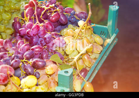 Grappes de raisins mûrs dans la boîte sur le marché Banque D'Images