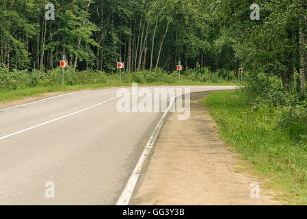 Route sinueuse entre les arbres Banque D'Images