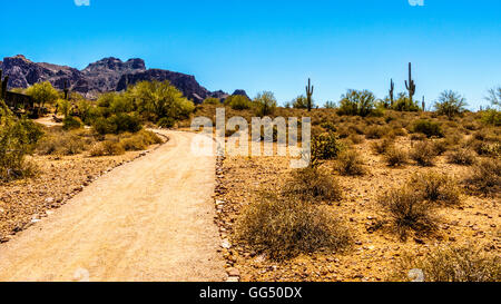 Lost Dutchman State Park avec la Superstition Mountain en arrière-plan dans la forêt nationale de Tonto en Arizona, États-Unis Banque D'Images