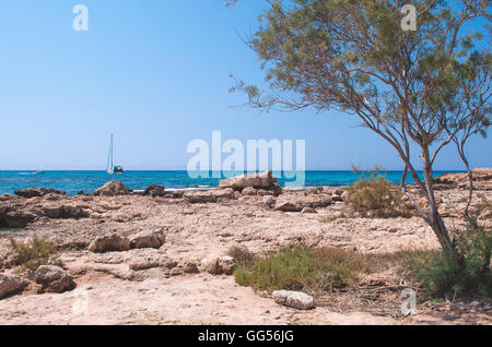 Beau paysage de la plage de Nissi, à Ayia Napa, Chypre, l'île de la Mer Méditerranée Banque D'Images